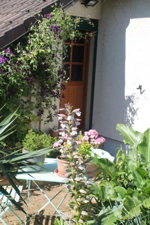 Chambre D'Hotes "Orchidees" Nogent-le-Rotrou Exterior foto